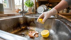 Perché ho smesso di buttare i gusci d'uovo e dove funzionano davvero