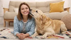 10 prove che il tuo cane ti protegge