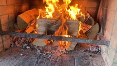 Quali tipi di legna non si possono bruciare in casa: questi tipi non riscaldano